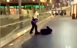 Horrific moment McDonalds security guard grabs BATON mercilessly beats unarmed woman ground